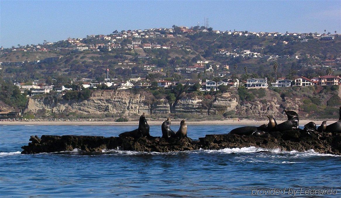 Holiday Inn Express San Clemente N - Beach Area By Ihg Exterior foto